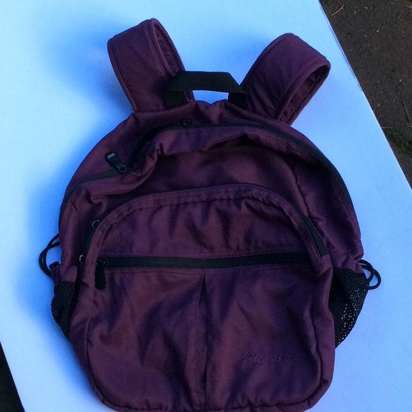 rick steves day pack